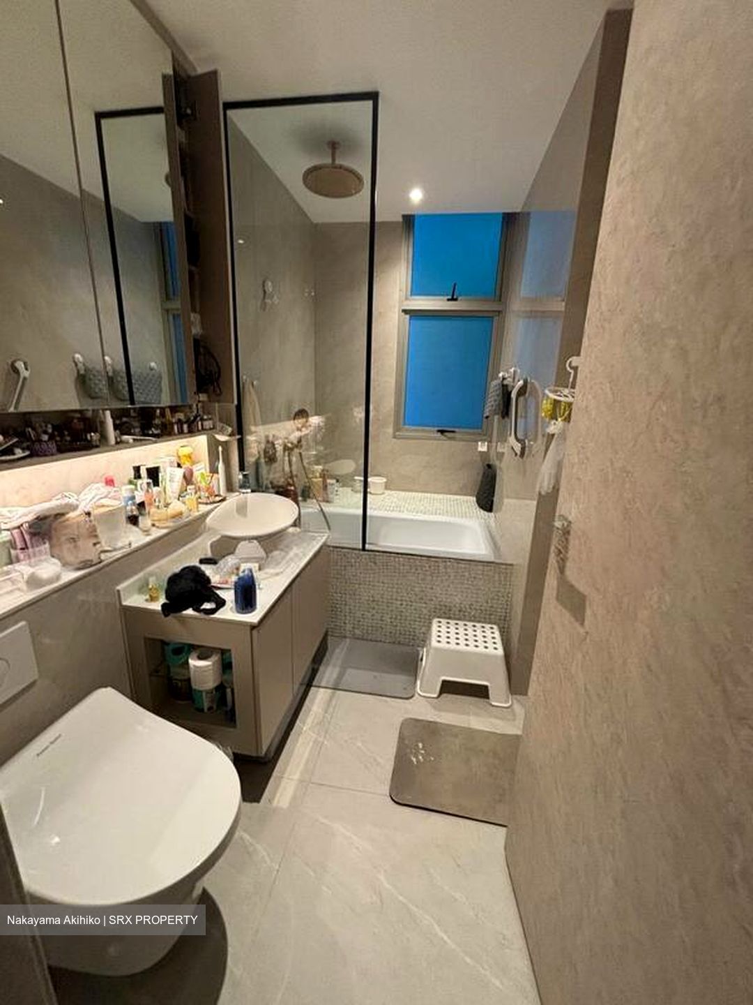 Cairnhill Crest (D9), Condominium #499336061